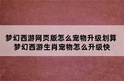 梦幻西游网页版怎么宠物升级划算 梦幻西游生肖宠物怎么升级快